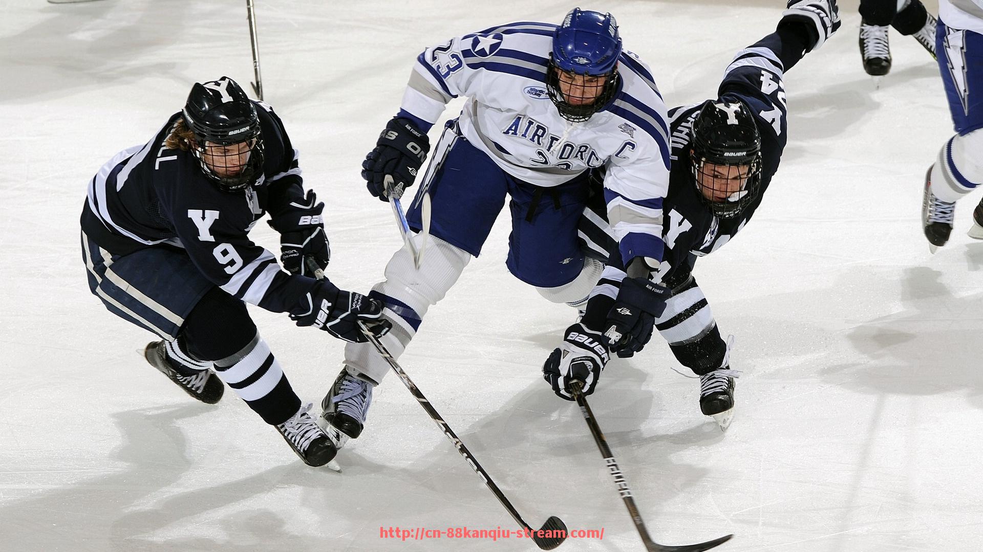 88看球网-法甲球队财务健康状况评估与风险预测