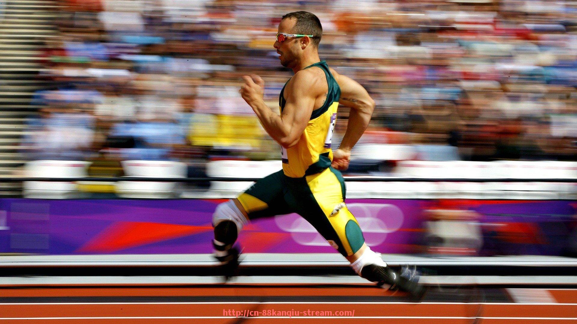 88看球网-手持小型健身器材推荐：便携、实用的日常训练好助手